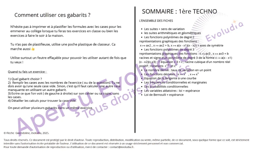 Gabarits 1ere techno, aperçu de la page sommaire