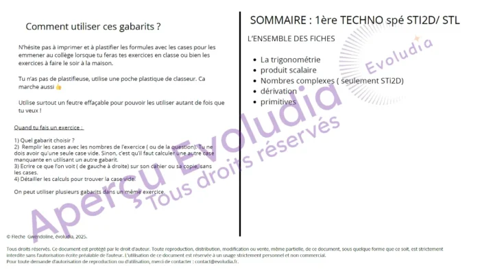 Gabarits 1ere techno spécialité ST2I STL, aperçu de la page sommaire
