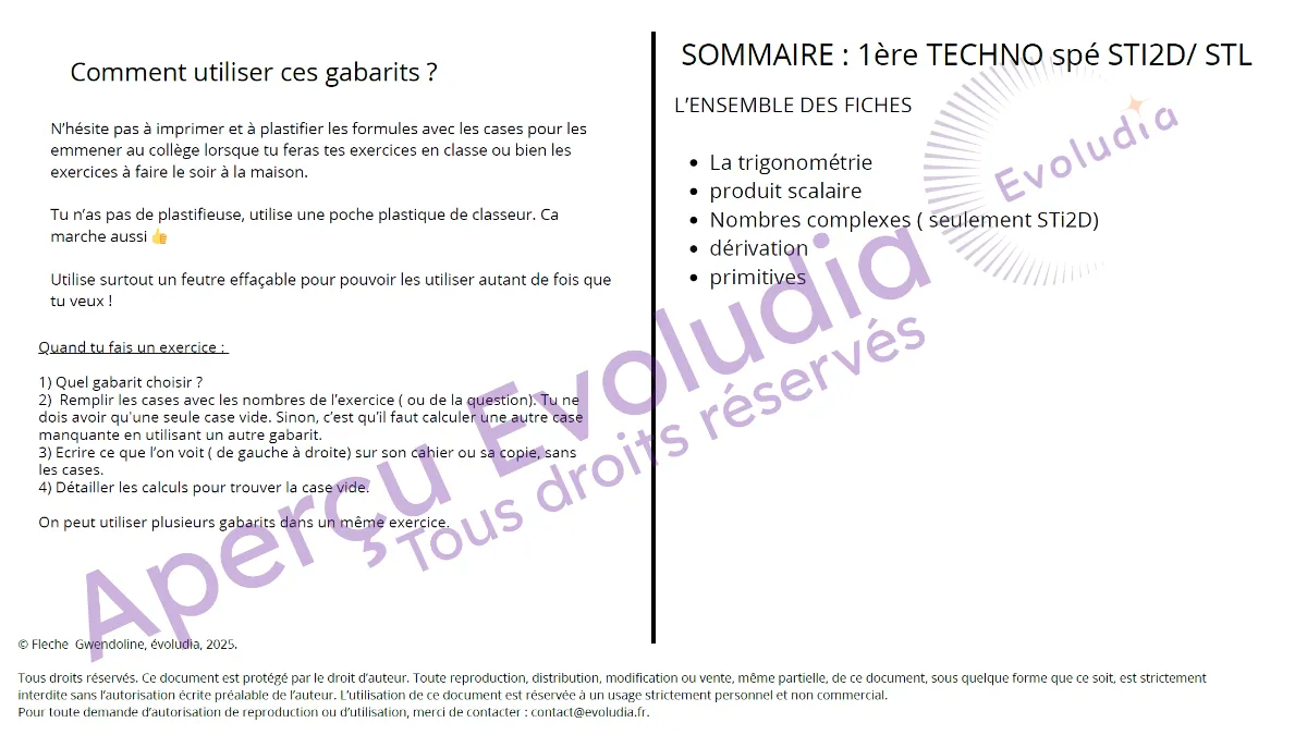 Gabarits 1ere techno spécialité ST2I STL, aperçu de la page sommaire