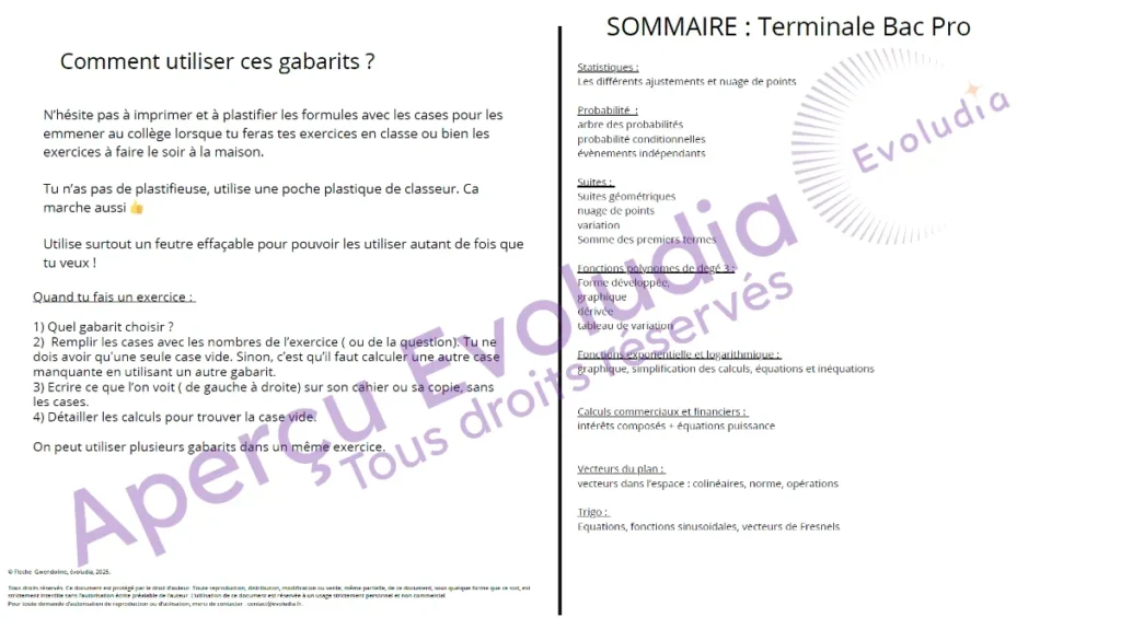 Gabarits terminale pro, aperçu page sommaire