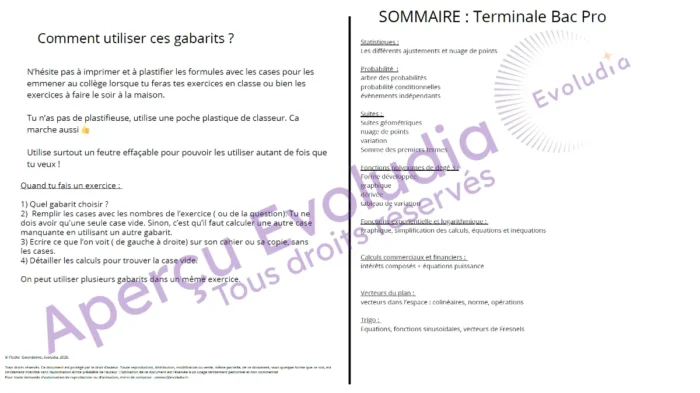 Gabarits terminale pro, aperçu page sommaire