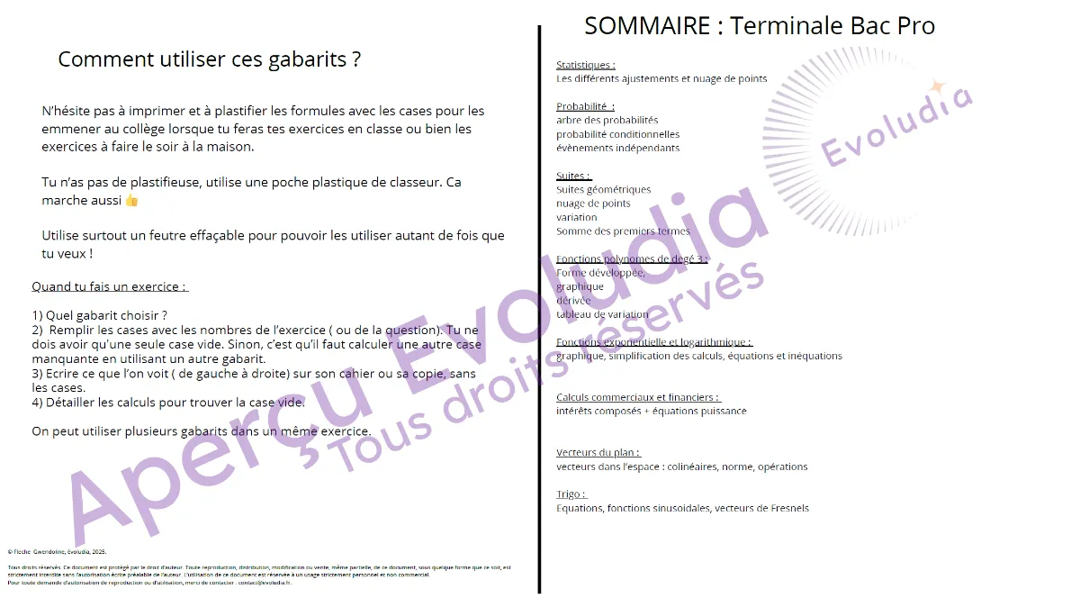 Gabarits terminale pro, aperçu page sommaire